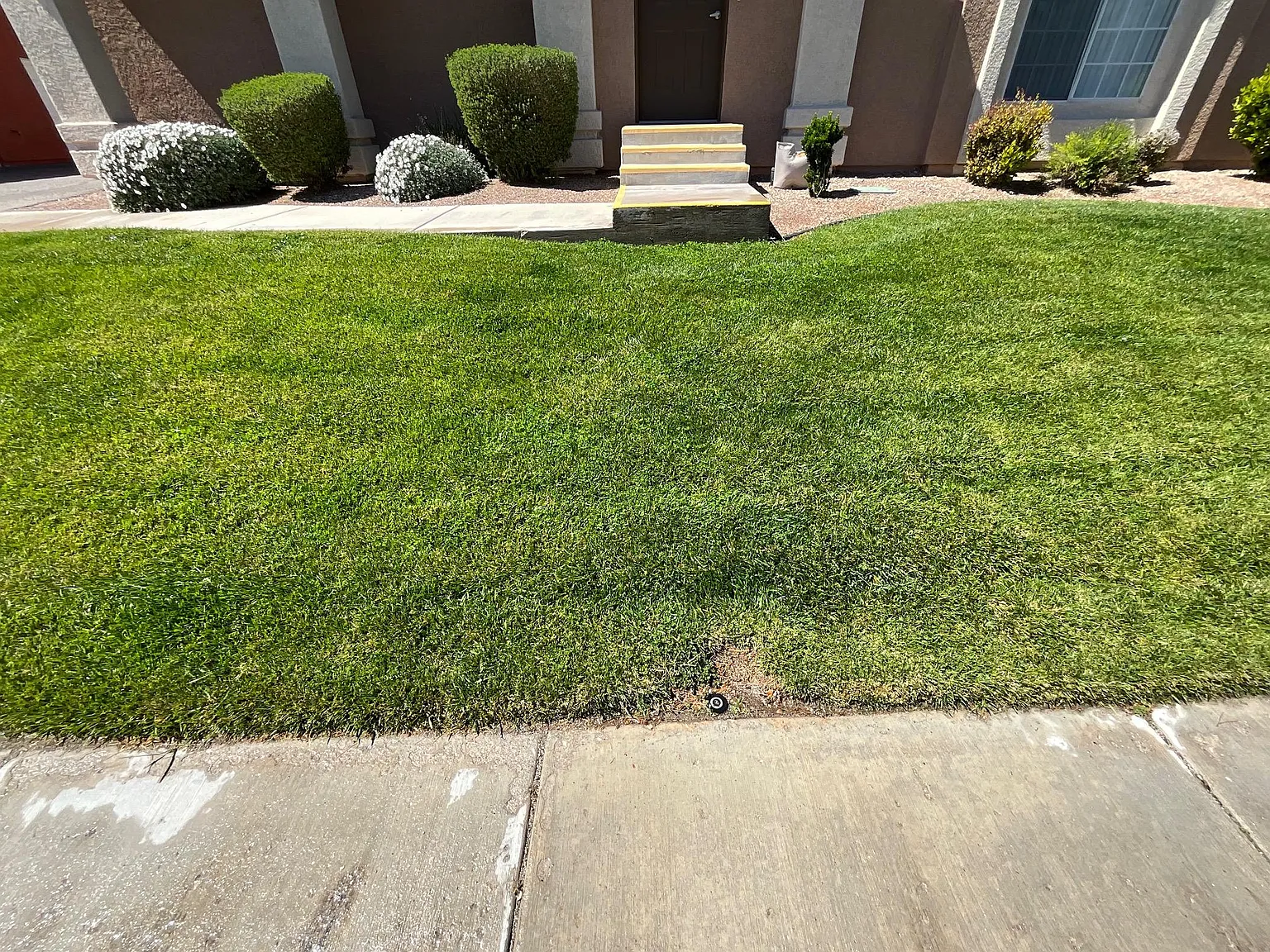 3 bed, 2.5 bath, 1000 sqft, $1,874 — Photo 2