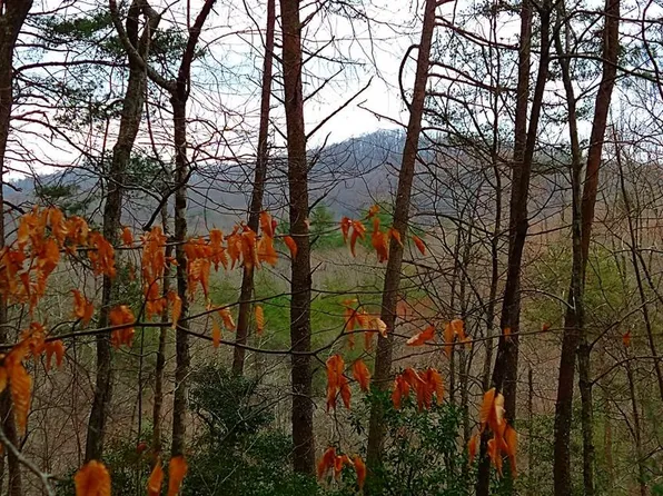 Hidaway Dr, Ellijay, GA 30536