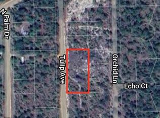 0 Tulip Ave #18-20, Interlachen, FL 32148