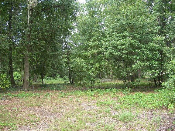 Like owning your own park!