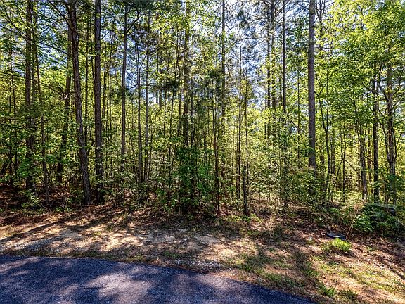 3rd image of LOT E Thirty Pine Ridge Way