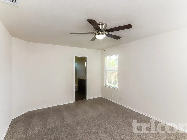15406 Shortwing — Photo 6