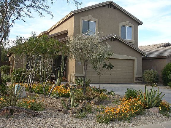 With annual spring flowers