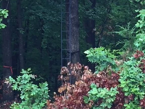 Buddy stand on property 