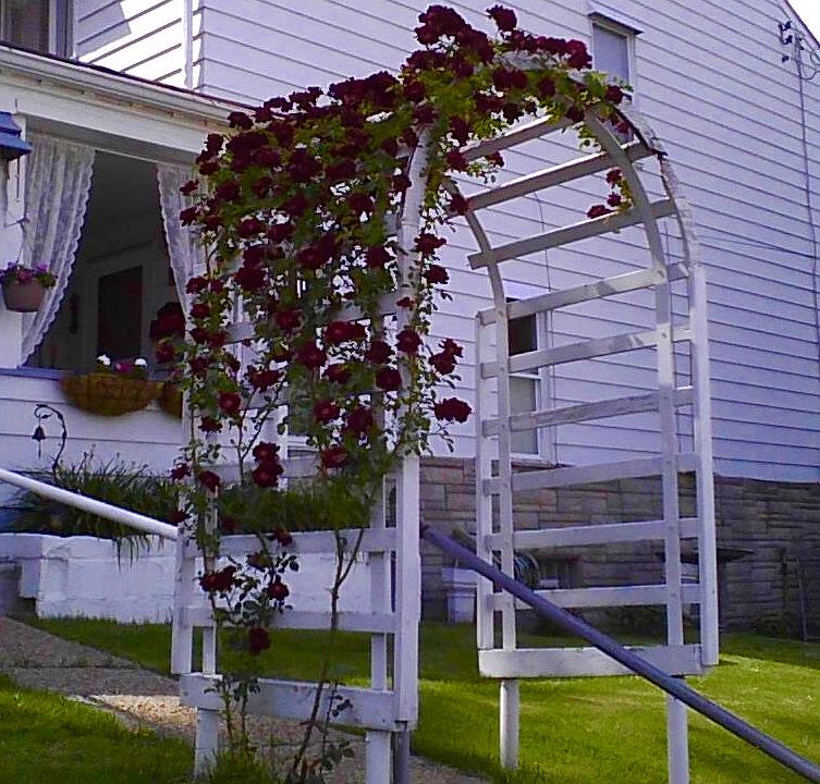 Large side yard