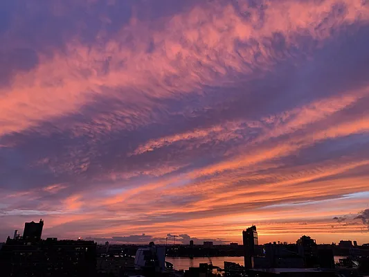 Rented by R New York | media 25