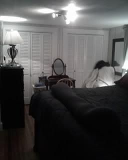2nd image of 10 Isabella St