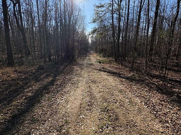 4th image of 0 Stonepile Rd