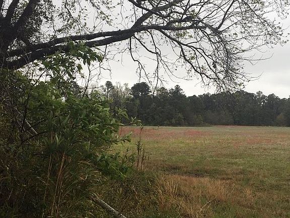 2nd image of 31.31 Ac Atlantic Breeze Dr. #BIRKDALE LANDING