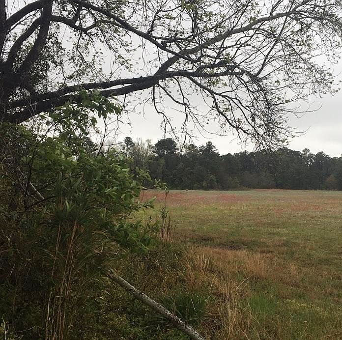 1st image of 31.31 Ac Atlantic Breeze Dr. #BIRKDALE LANDING