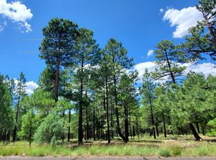 2526 Well Water Rd #322, Happy Jack, AZ 86024