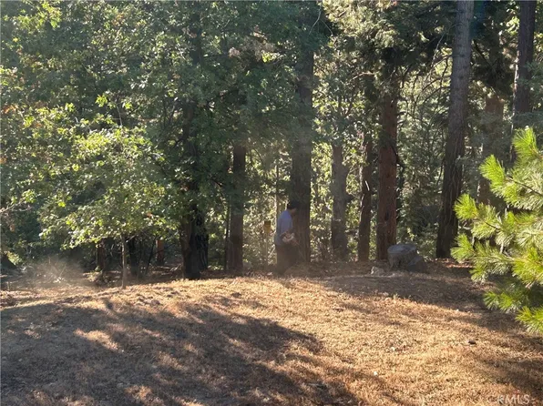 2335 Deep Creek Dr Lot 48, Running Springs, CA 92382