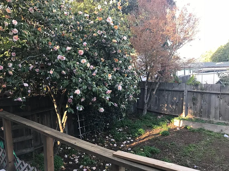 1607 Pacific Ave — Photo 6