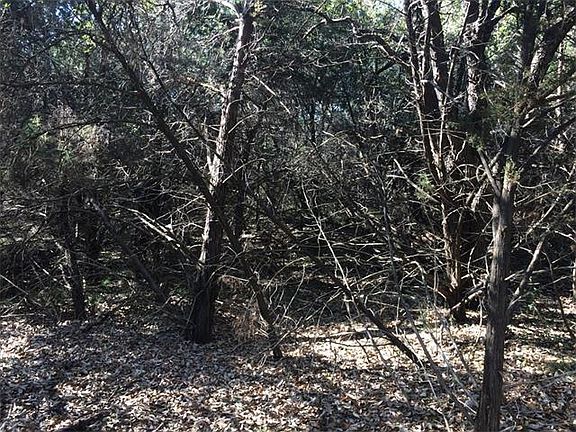 4th image of 22221 Briarcliff Dr