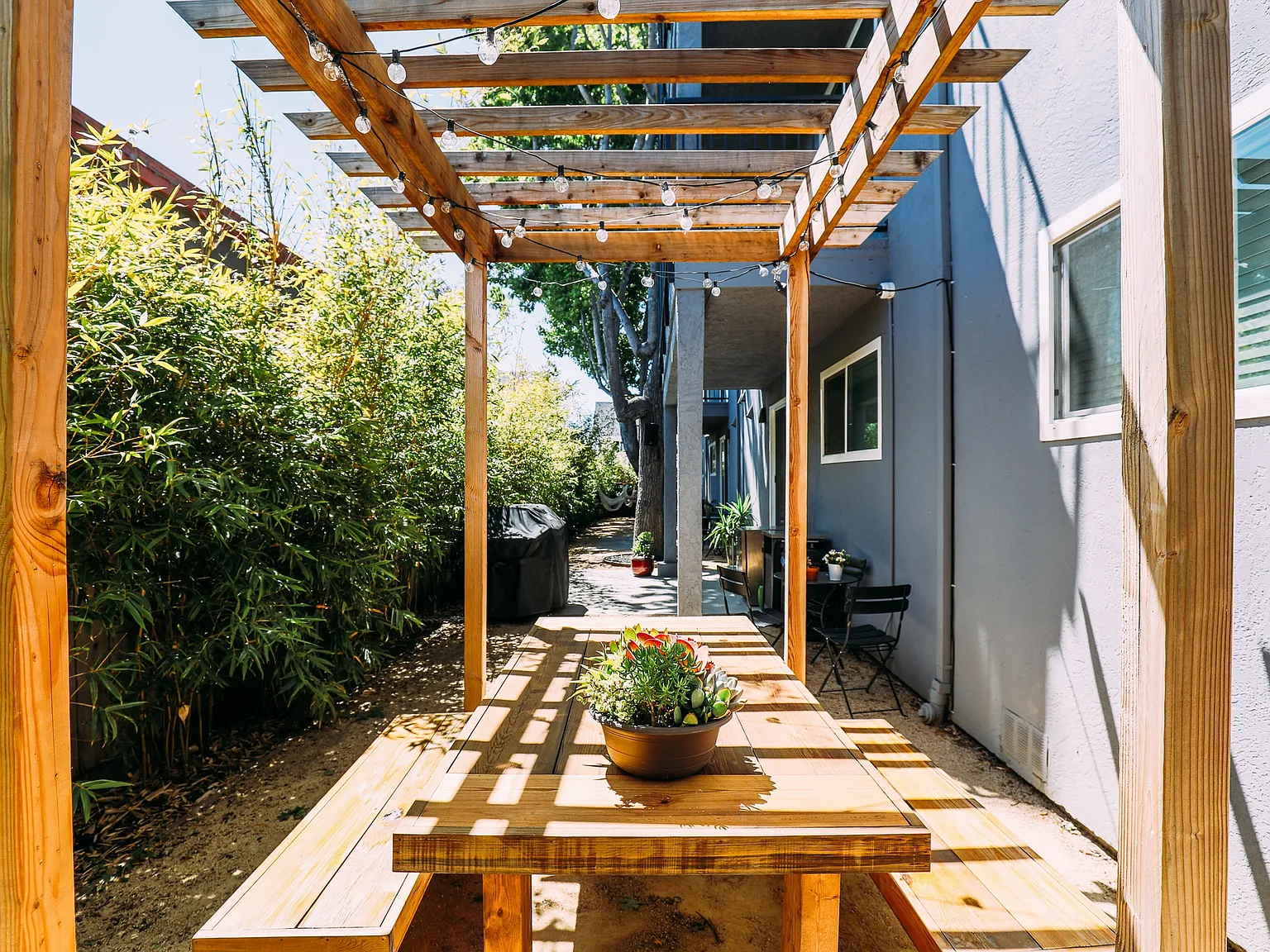 Common MacArthur — Photo 4