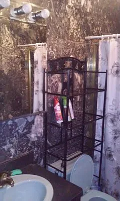 Rented by 1st Premier Realty Network Inc | media 17