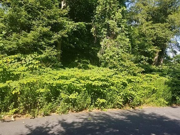 4th image of 0 Stonewall Ct