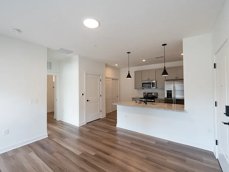 Living room and kitchen