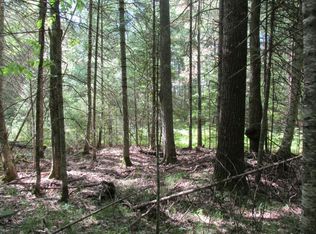 17 Near Hwy, Conover, WI 54519