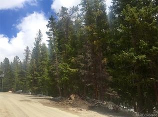 1 Silver Creek Rd, Idaho Springs, CO 80452