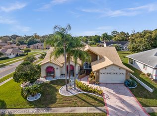 1243 Venetia Dr, Spring Hill, FL 34608