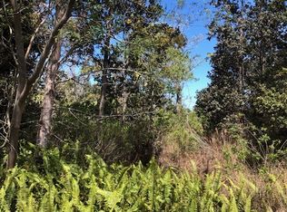 Bamboo Ln LOT 28, Ocean View, HI 96737