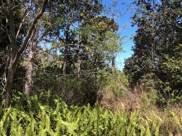 Bamboo Ln Lot 28, Ocean View, HI 96737