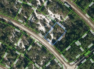 1133 Robin St, Lake Placid, FL 33852