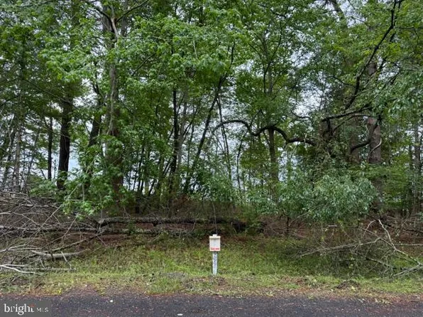 58 Neptune Dr, Greenbackville, VA 23356