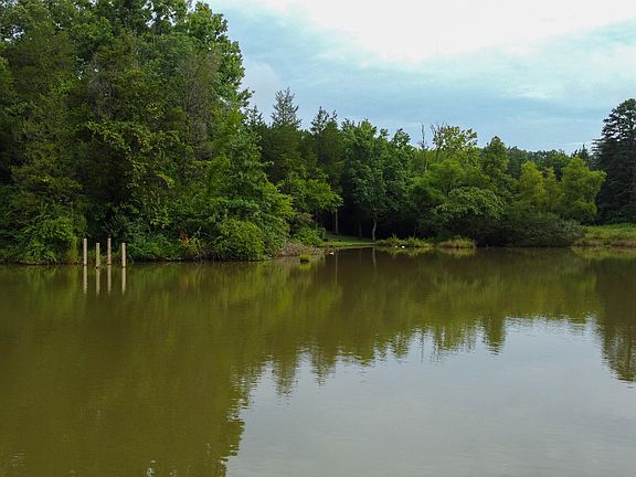 4th image of Cove Ln