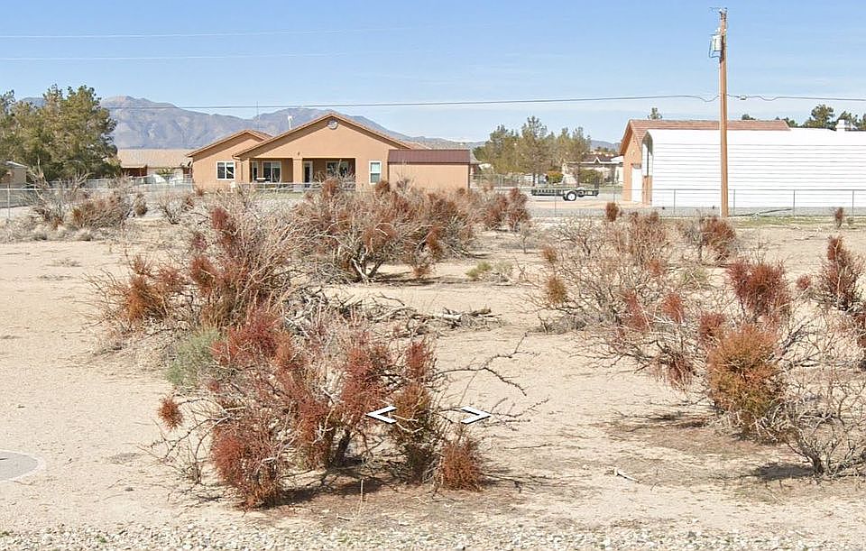 1st image of 1420 Peacock Ave