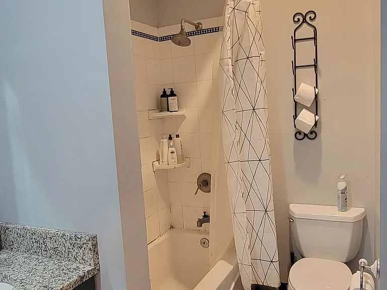 Bathroom tub and toilet