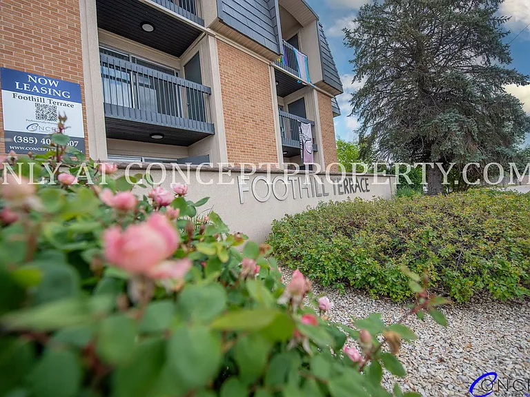 Foothill Terrace — Photo 307