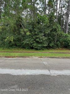 0 Ashley Dr, Titusville, FL, 32780