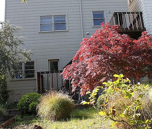 yard view of house