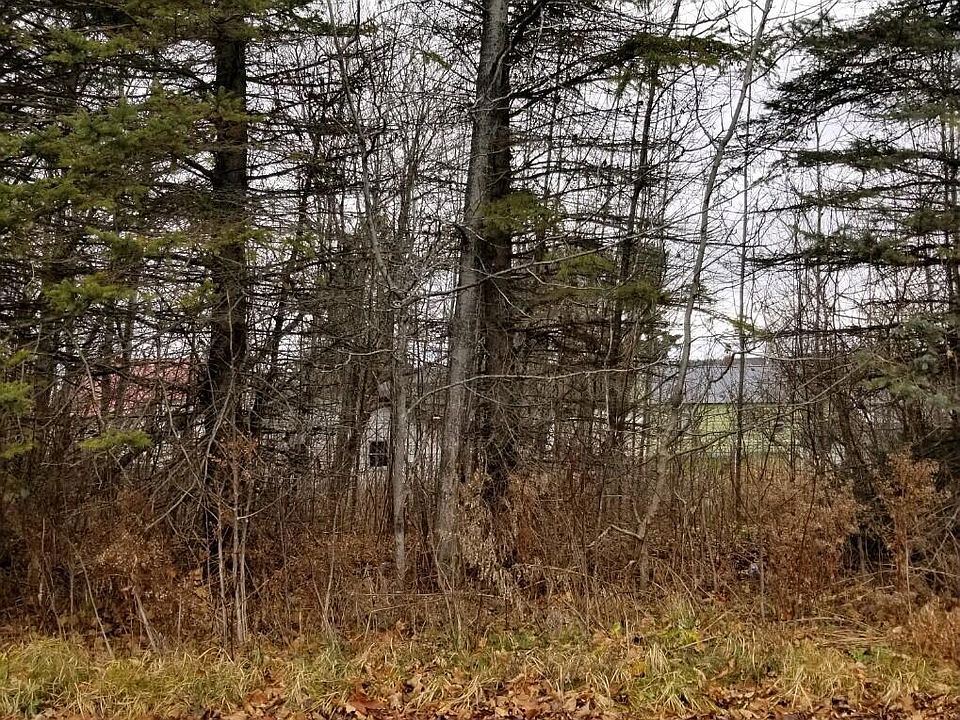 2nd image of 10 Webster Street
