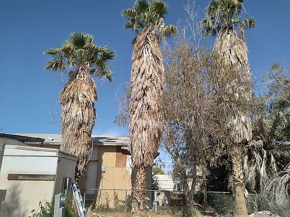 5th image of 29373 E San Jose Ave