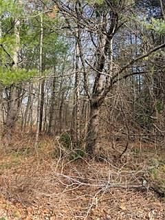 4th image of 1304 Us Route 209