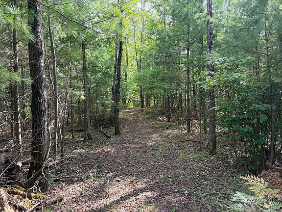 4th image of N Pine Square Rd