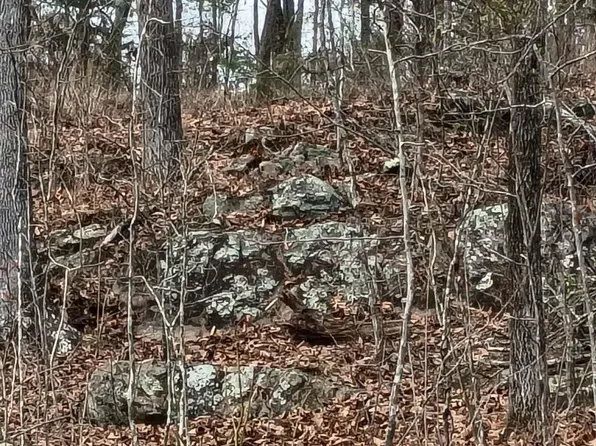 4615 County Highway 26, Blountsville, AL 35031