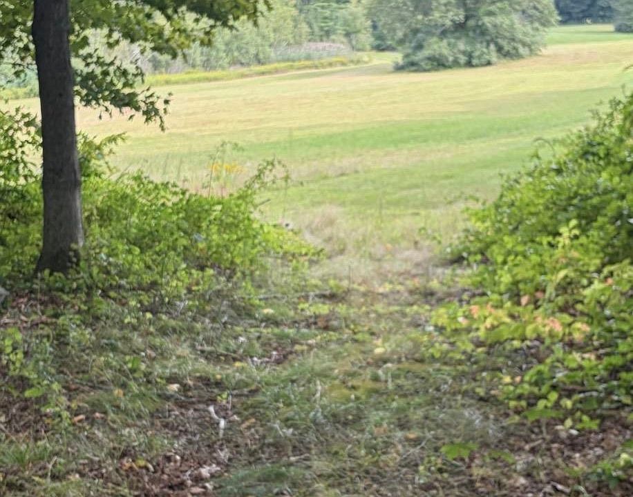 2nd image of 263 Pickpocket Road