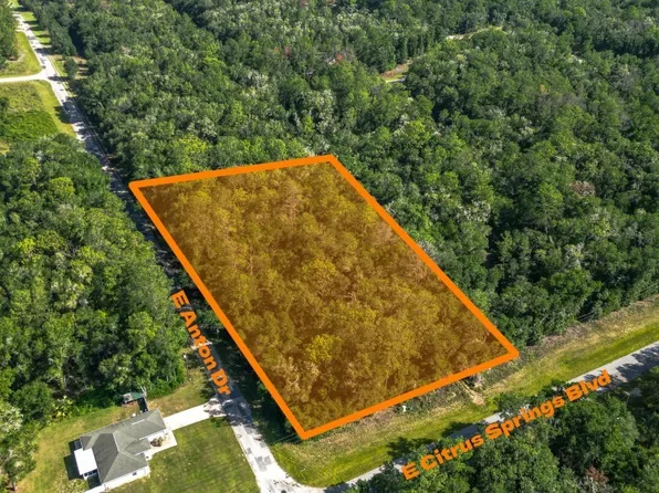 825 E Anton Dr, Citrus Springs, FL 34434