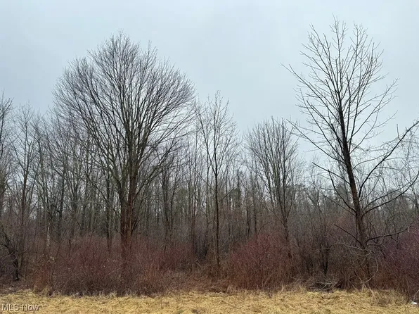 V/l 2 Bates Rd, Madison, OH 44057