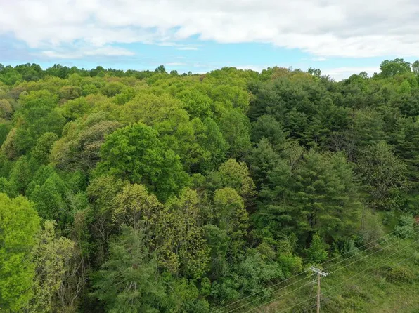 Tbd Danville Pike, Laurel Fork, VA 24352