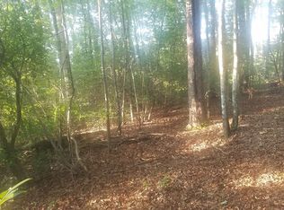 LOT 2 Bluebird Ln, Blue Ridge, GA 30513