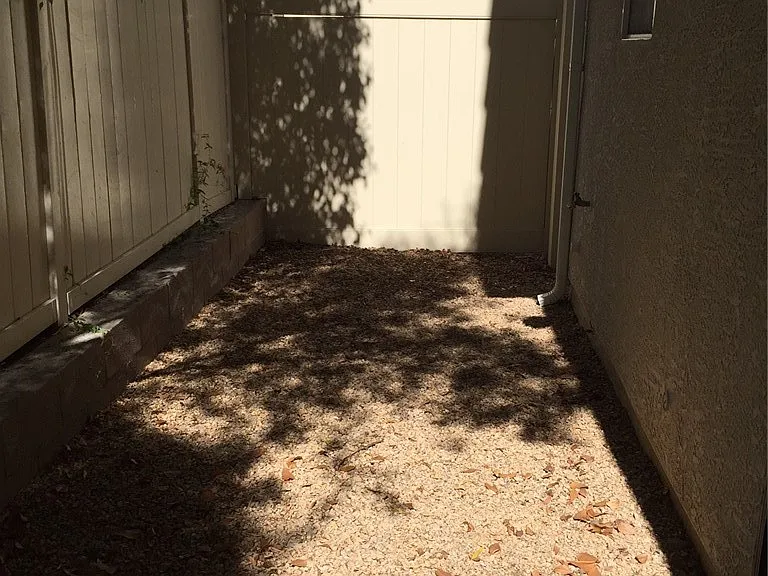 8948 Candice Lee Ct — Photo 13