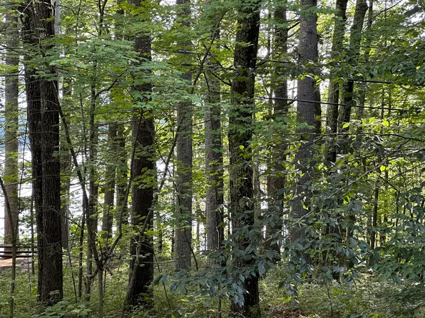 Lot 8 Cedar Drive, Shapleigh, ME 04076