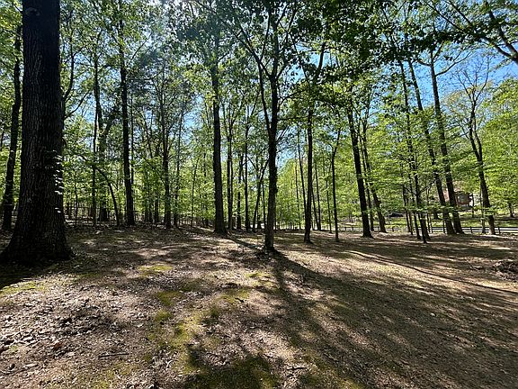 4th image of 9402 Rocky Woods Dr