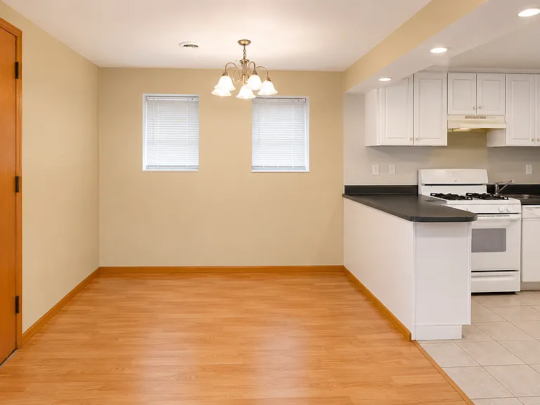 2917 N Halsted St #BASEMENT — Photo 4