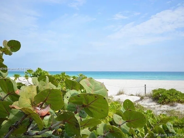 6000 Collins Ave #310 — Photo 9